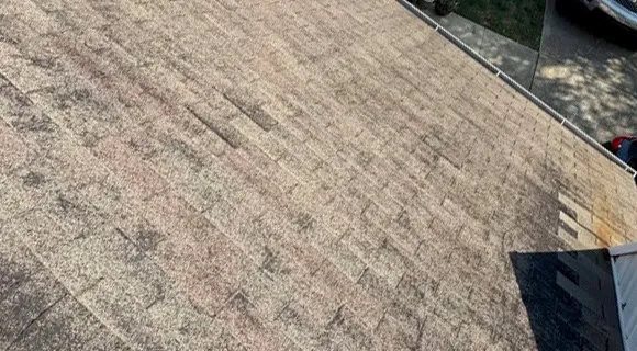 When Should Homeowners Be Concerned?