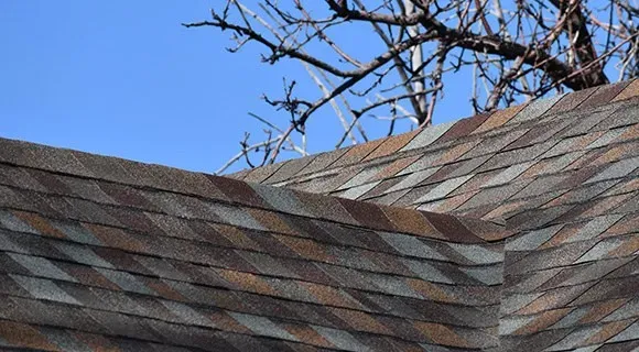 3 tab asphalt shingle cost