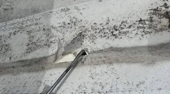 3. Membrane Punctures or Tears