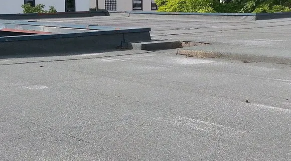 High Maintenance Roofs: