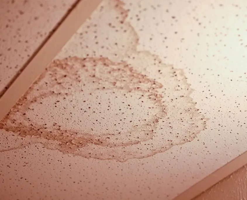 Common Reasons Behind Moisture Infiltration May Blog 1