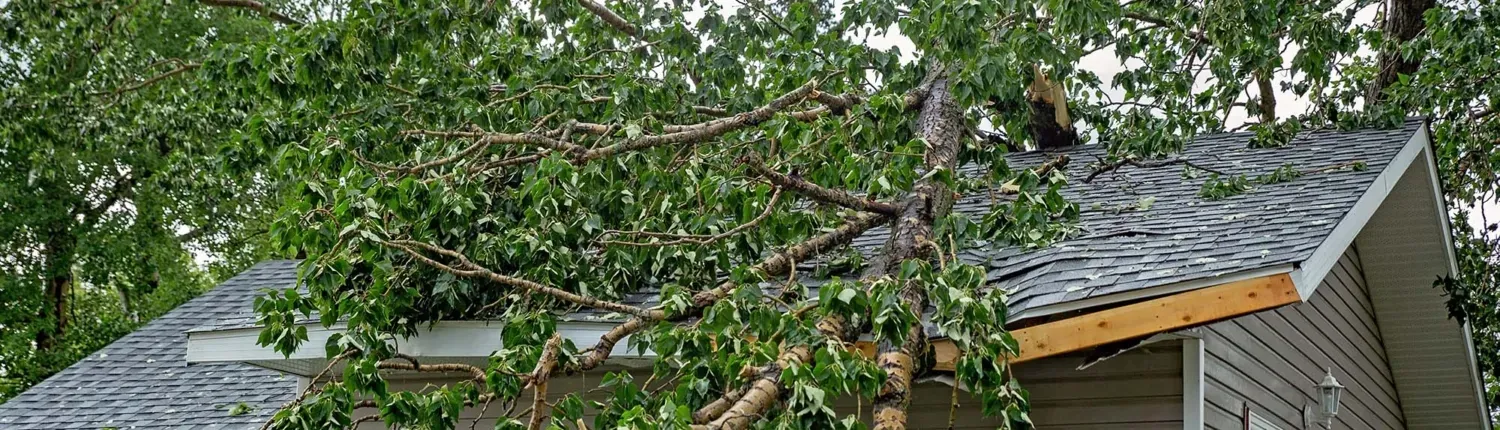 How Can I Deal With These Roofing Issues