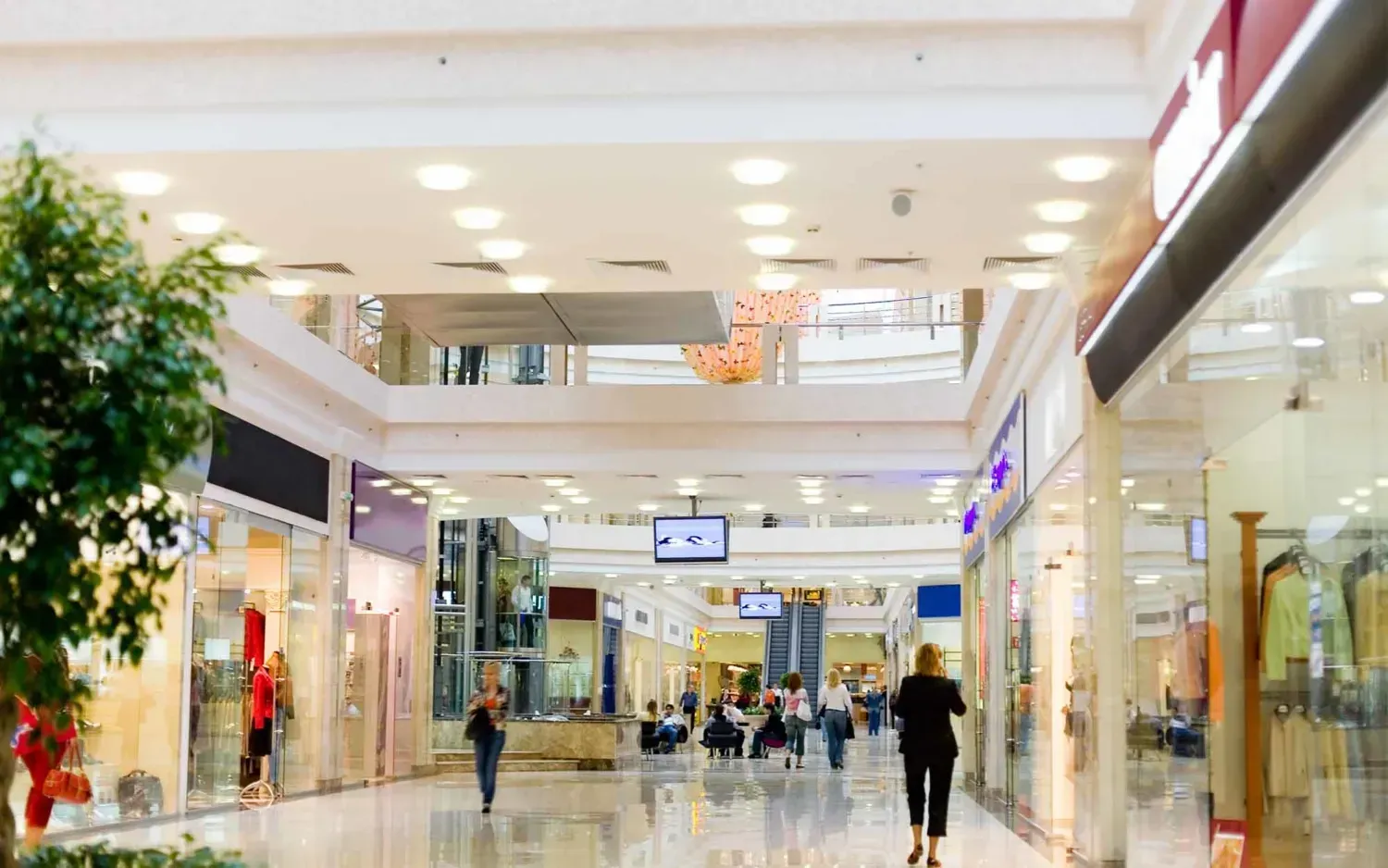 Interior view of a shopping mall roof top