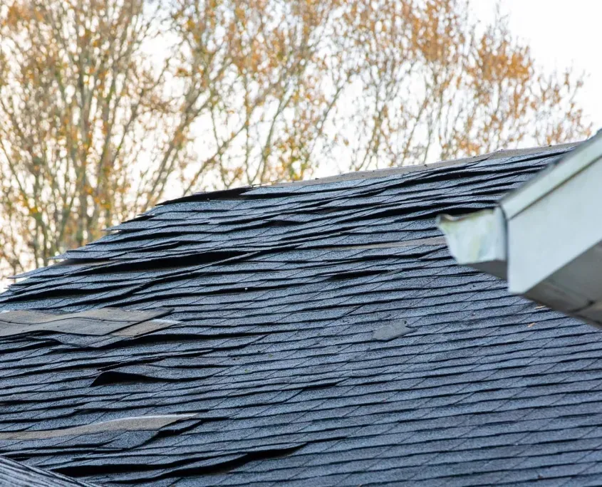 Recovering from storm damage October Blog 1