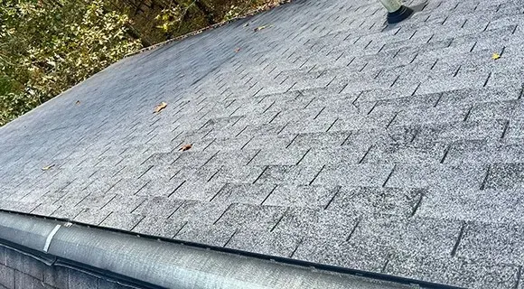 asphalt shingle granule loss residential roof