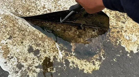 blistered damaged commercial roof membrane