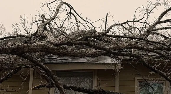 catastrophic tree damage on residential roof