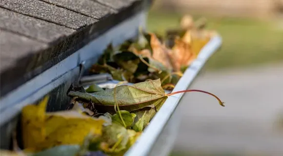 clogged rain gutter