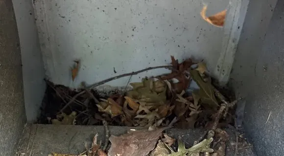 clogged roof drains and gutters