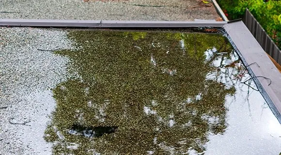 commercial flat roof standing water