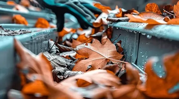 commercial gutter debris accumulation