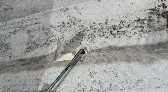 commercial roof membrane tear