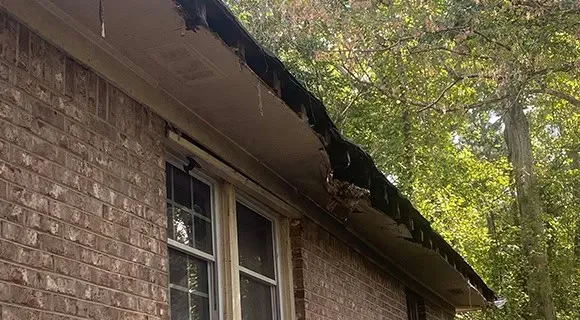 fascia and soffit severe water damage