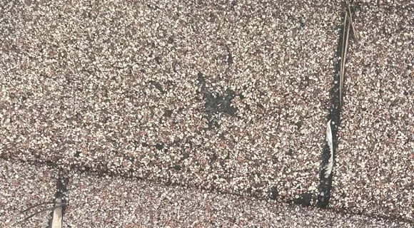 hail damaged shingle