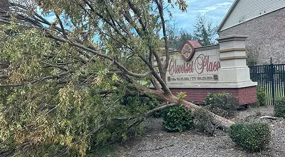 hurricane helene city wide damage hazlehurst georgia