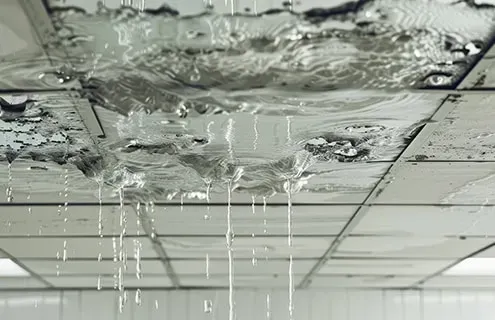 leaking metal roofing system