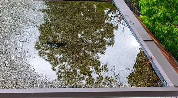 ponding water on commercial flat roof