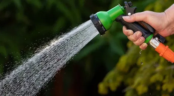 protect plants and landscaping