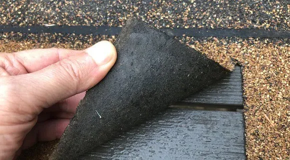residential asphalt roofing shingle
