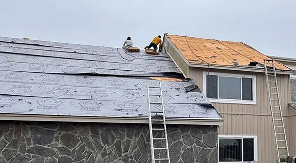 residential roof underlayment