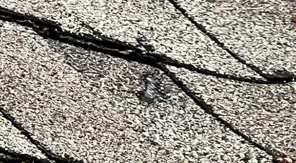 roof hail damage