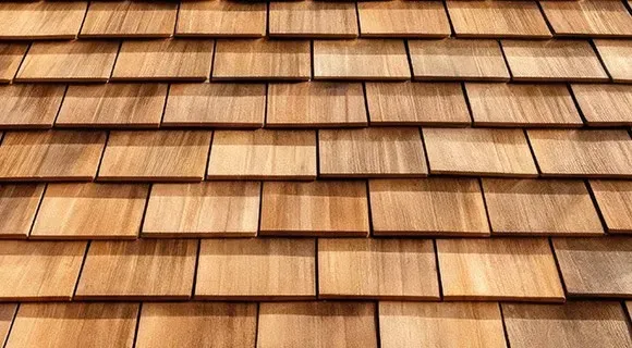 roof shake shingle