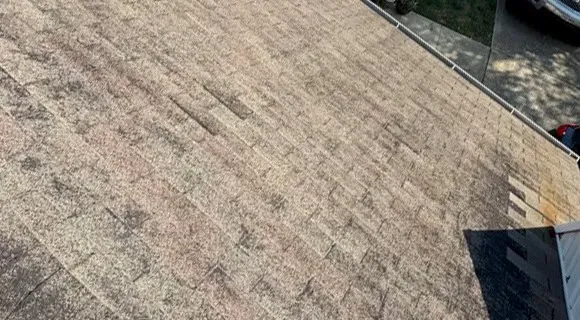 severe granule loss residential asphalt shingles