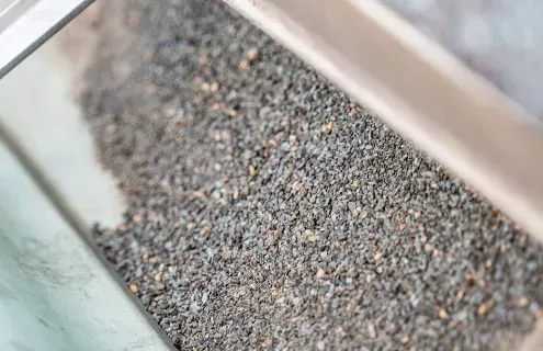 shingle granules in gutter