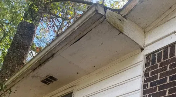 soffit and fascia water damage mold