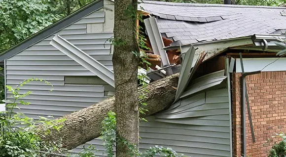 tree fell on house