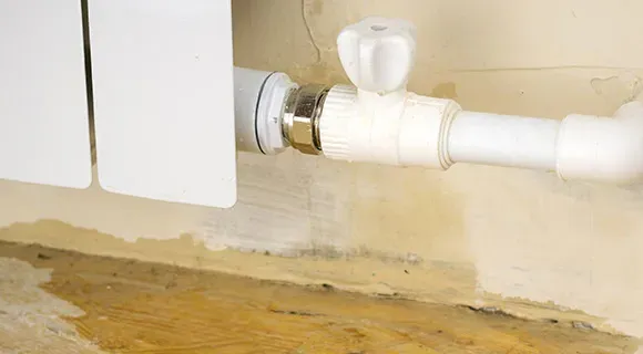 water pipe leak after tree fall