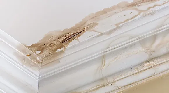 water stains ceiling