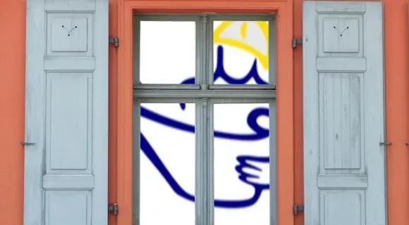 window shutters