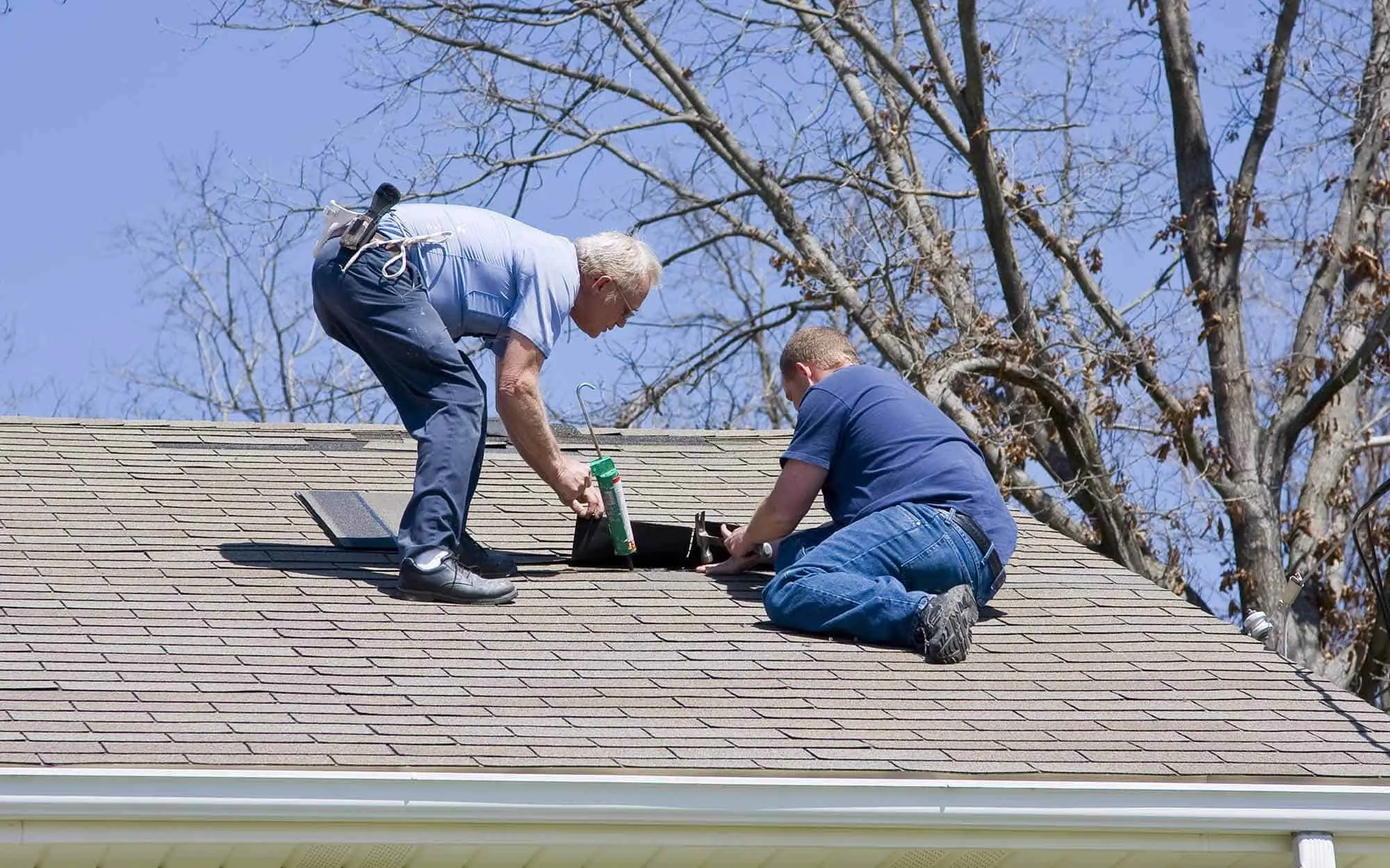 Professional roofing image